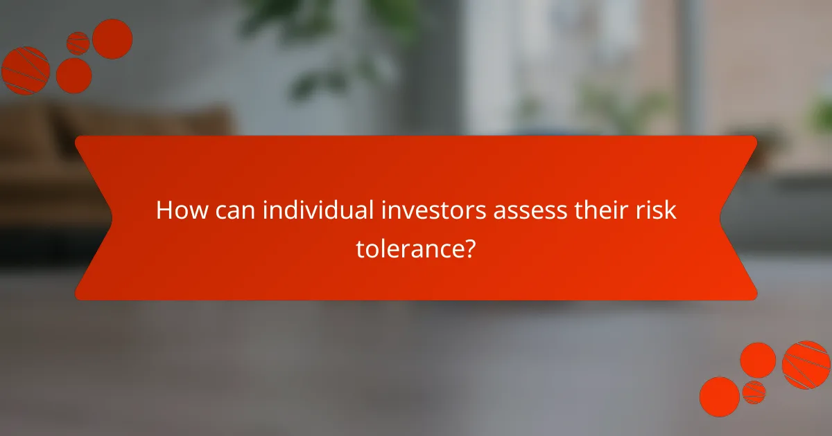 How can individual investors assess their risk tolerance?